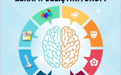 zekami-gelistiriyorum-post-2