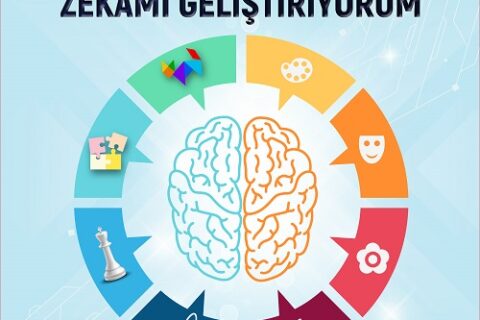 zekami-gelistiriyorum-post-2